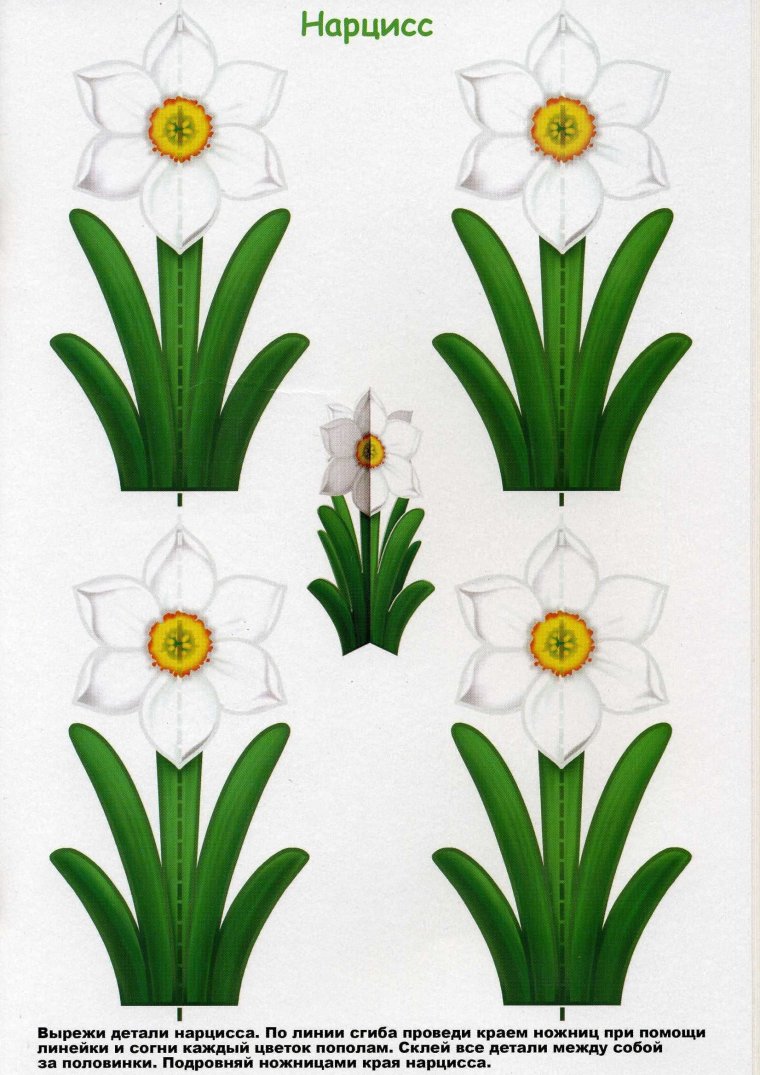 Вырежи и склей цветы