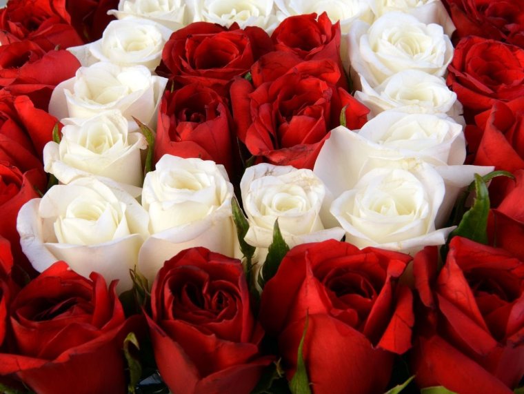 501 Роза в корзине