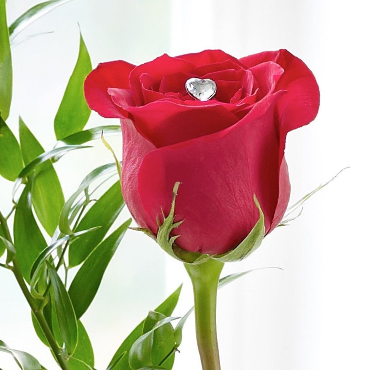 Расми гулхо