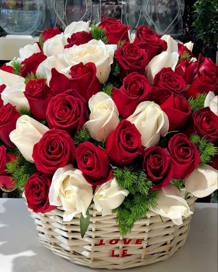 Открытки с белыми розами