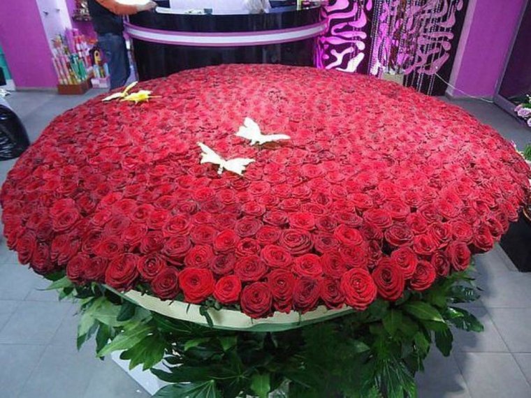 Гулар дунёси