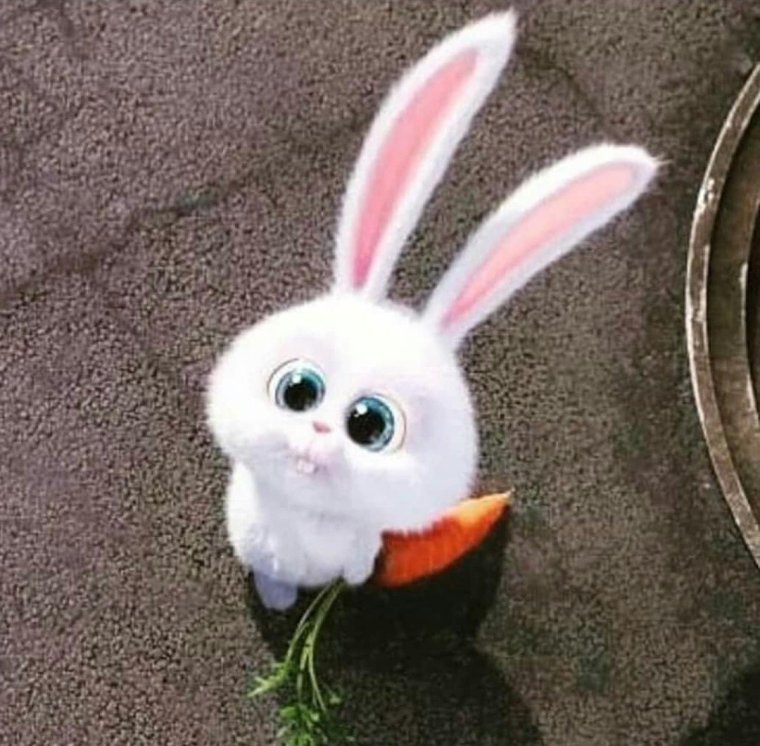 Бантик Зайка