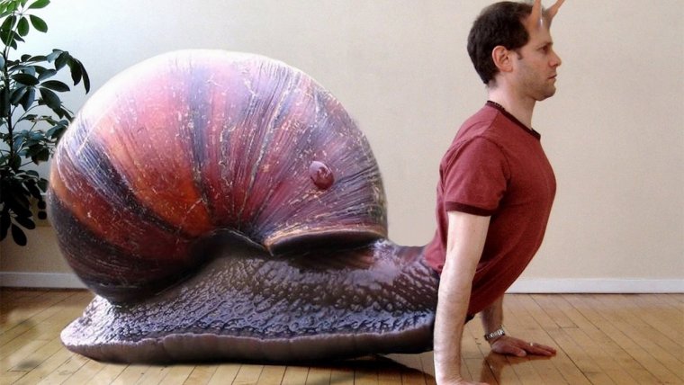 Прикольная улитка