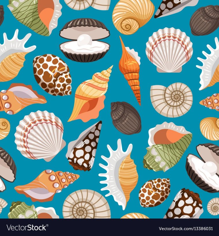 Ракушки паттерн