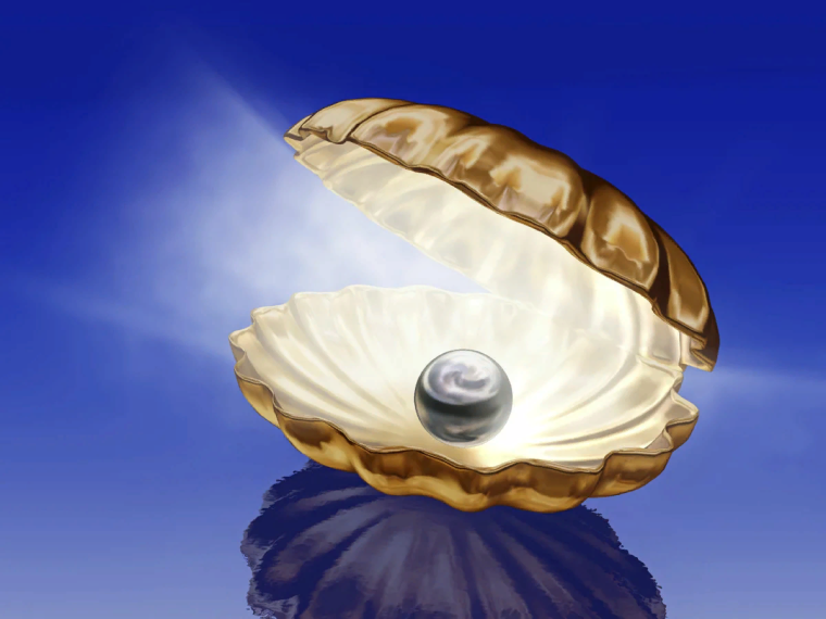 Жемчужина в открытой раковине