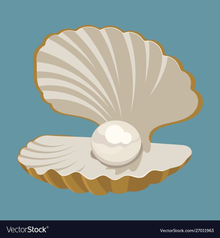 Ракушка с жемчугом контур