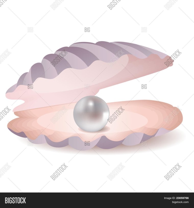 Устрица с жемчужиной вектор