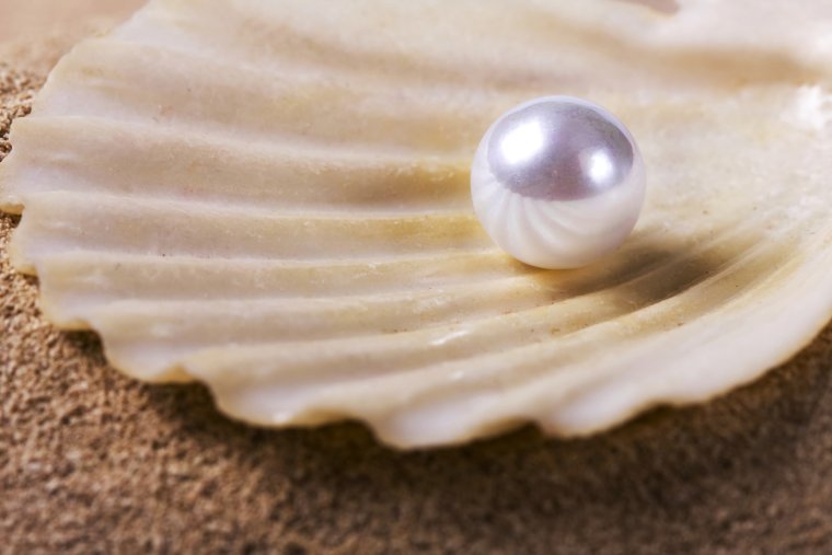 Жемчуг в ракушке