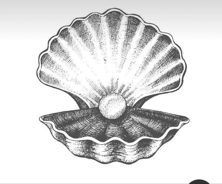 Ракушка с жемчужиной