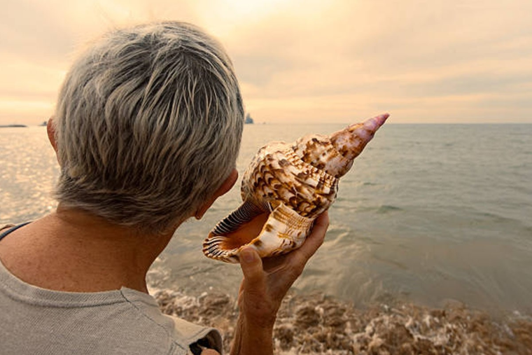 День шумящих ракушек