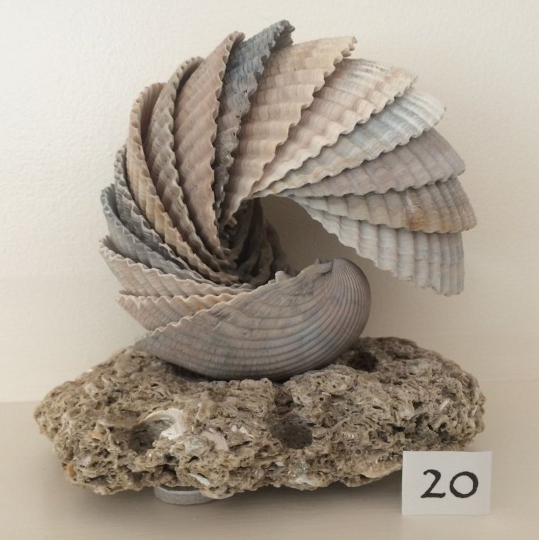 Скульптура из ракушек