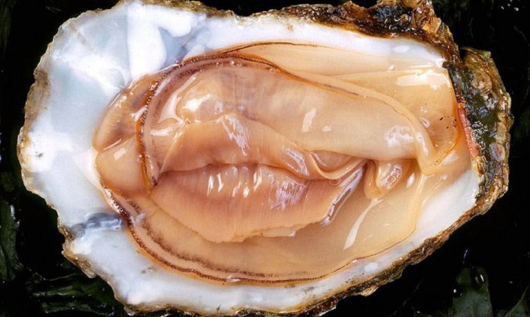 Крючки Gamakatsu LS-1100b