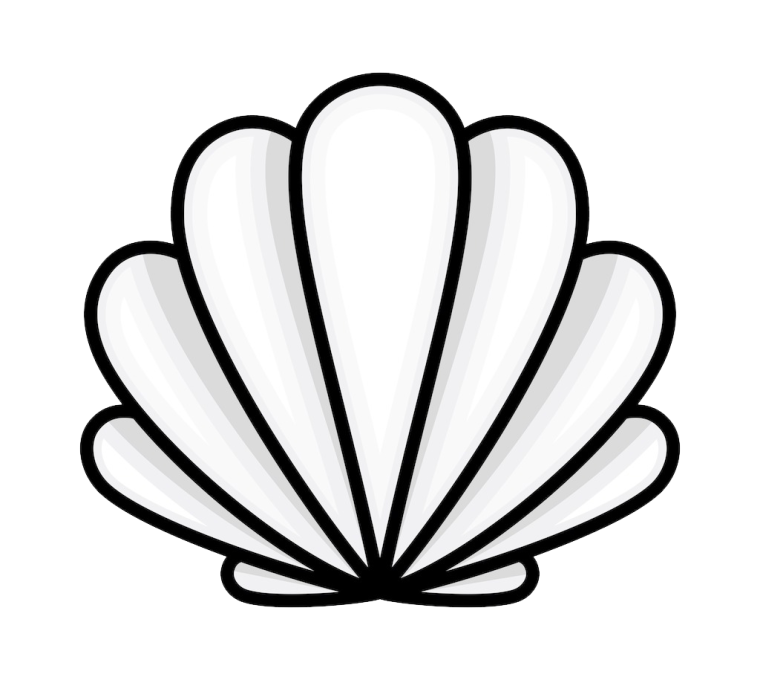 Ракушка контур