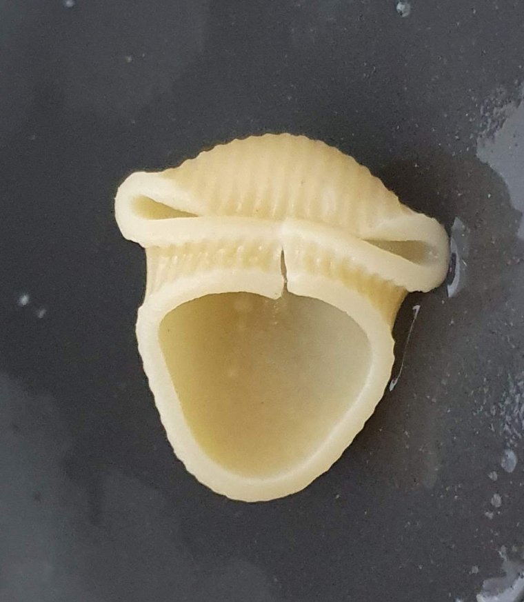 Трафарет Жемчужина в раковине