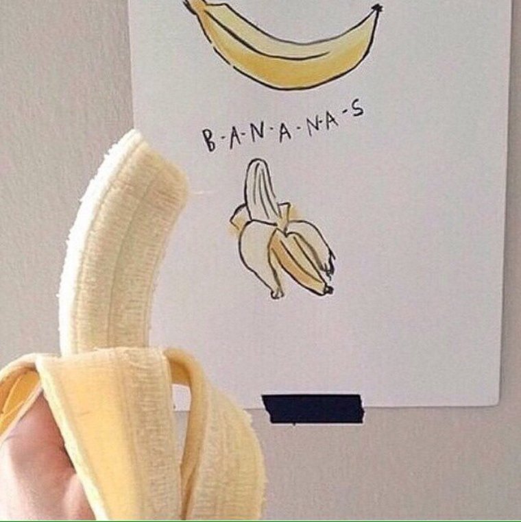 Наутилус моллюск раковина