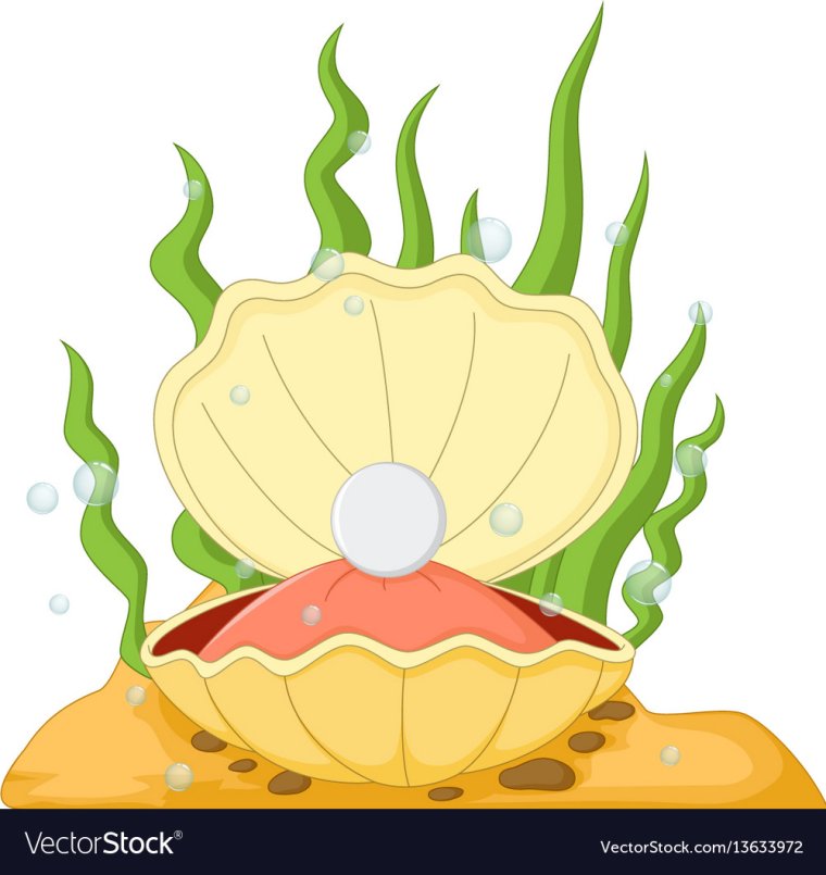 Гравировка рисунок Ракушка