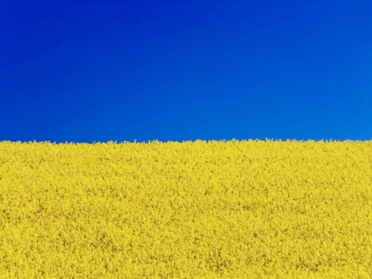 Поле и небо Украина