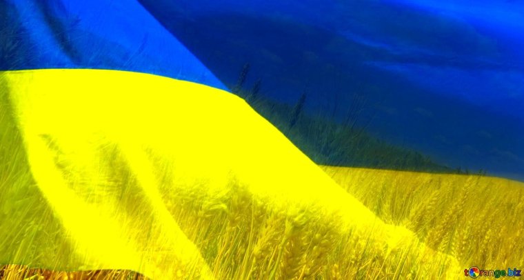Украинский флаг обои