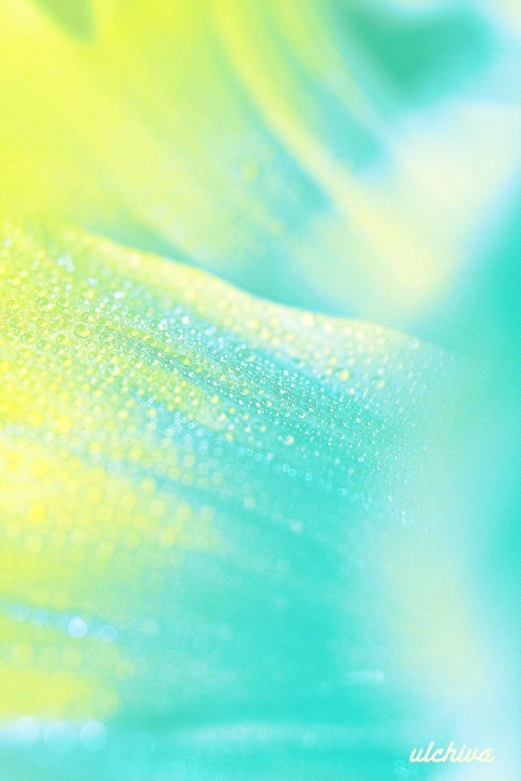 Бирюзовый и желтый