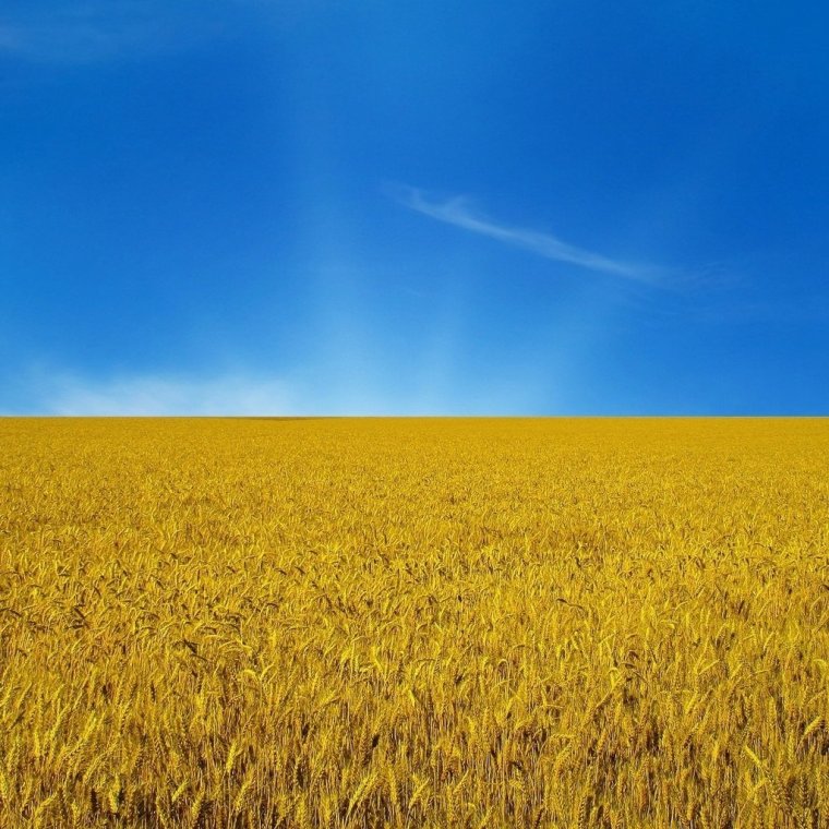 Сине желтый градиент