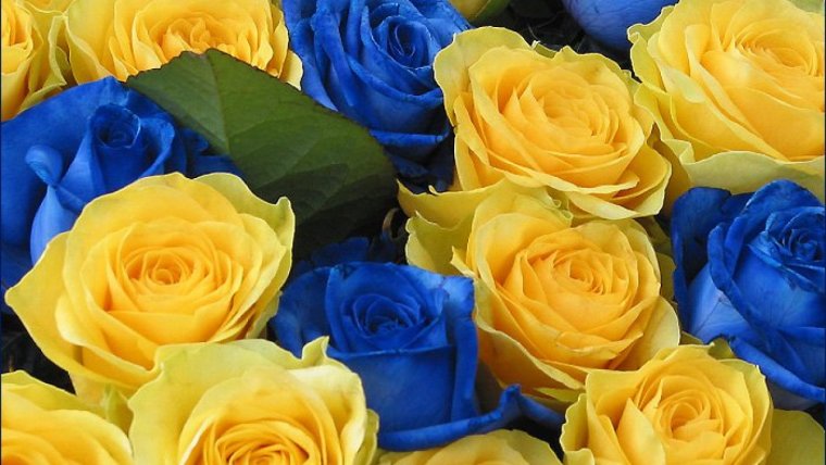 Фон сине желтый градиент