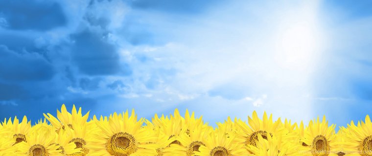 Жовто Блакитний фон