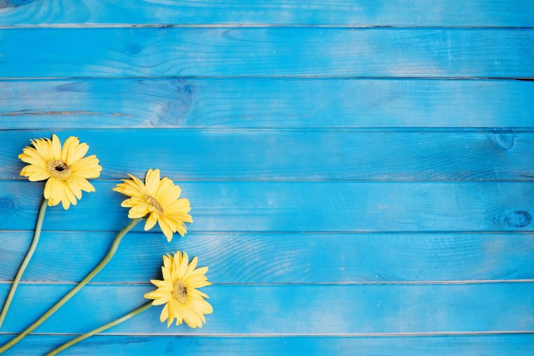 Фон синий с желтыми лучами