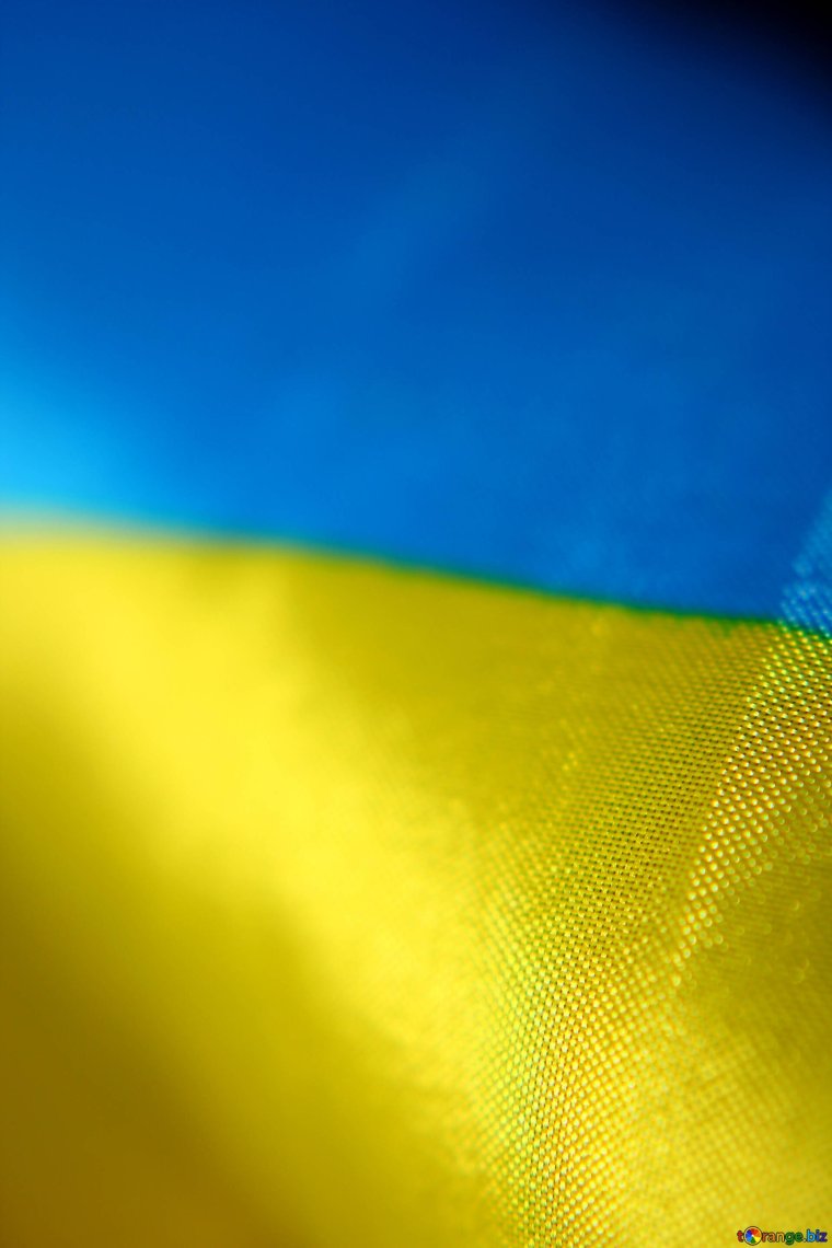 Синяя бабочка