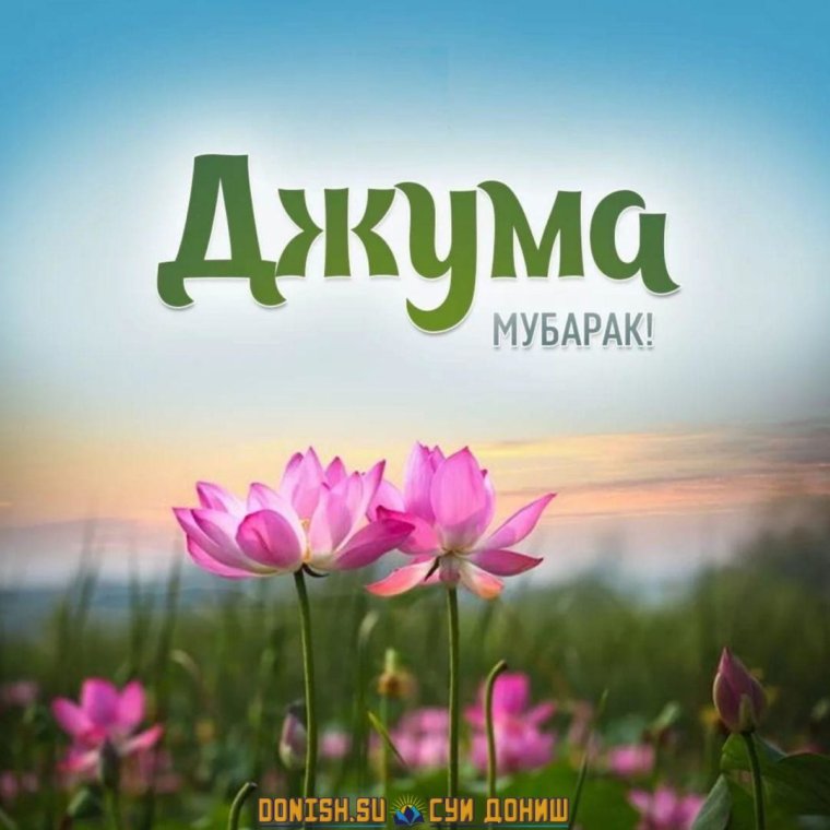 Джума мубарак