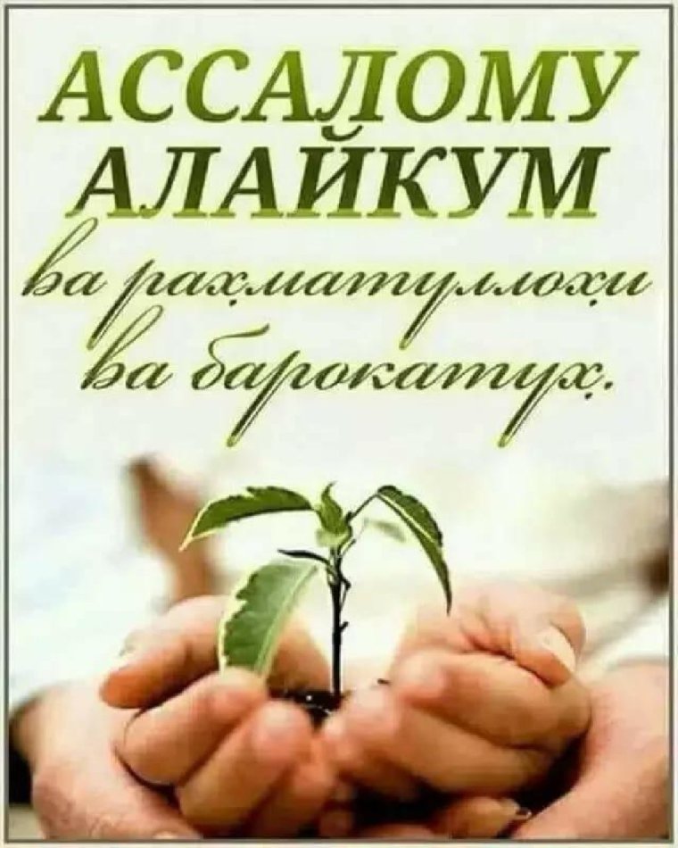 Ассаламу алейкум ва