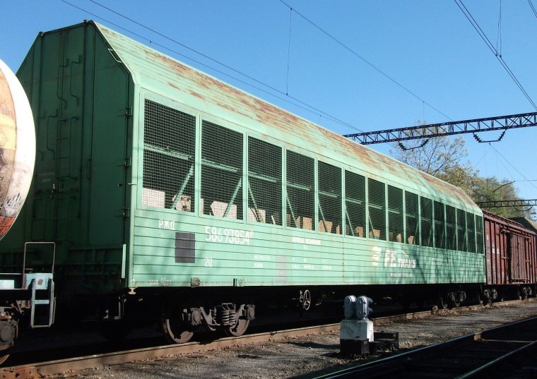 Вагон шельтер