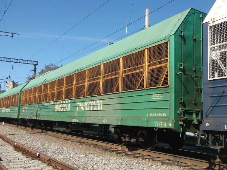 11-287 Вагон автомобилевоз