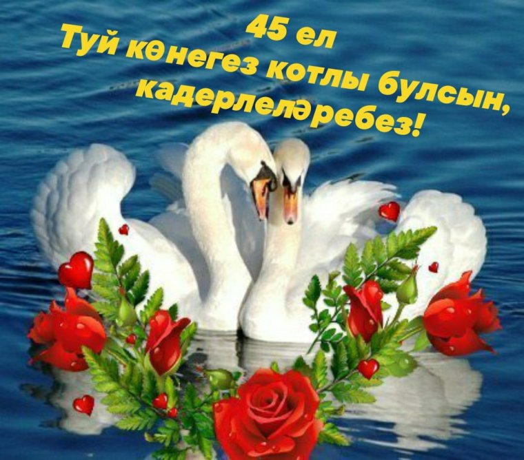 Доброе утро лебеди