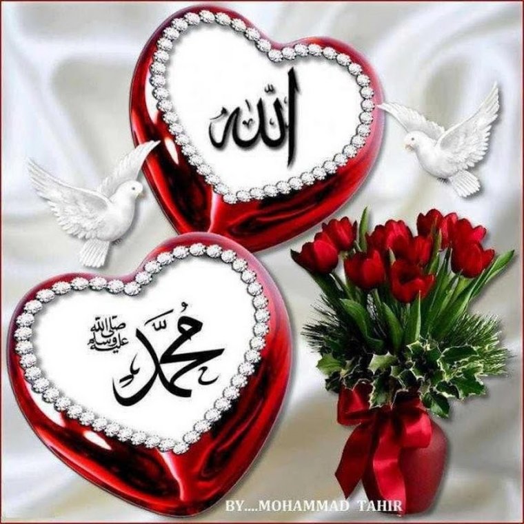 Свадебные голуби