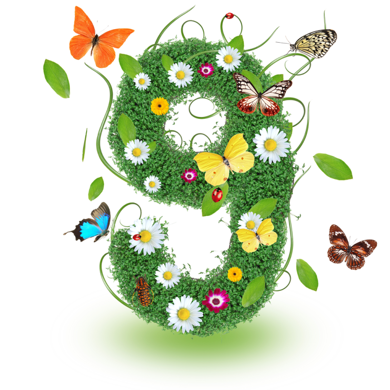 Цифра 9 из цветов