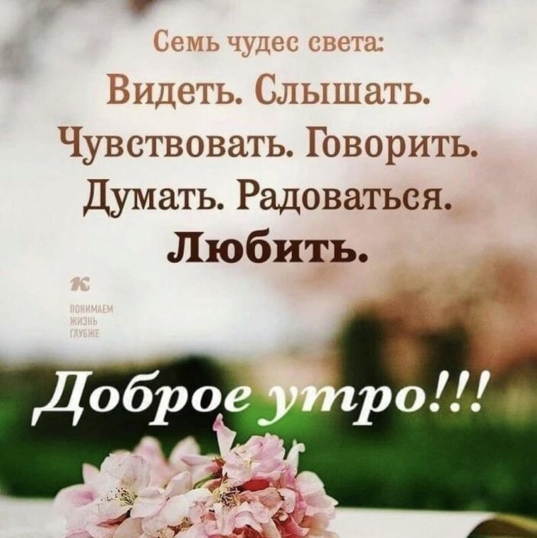 Доброе утро цитаты афоризмы