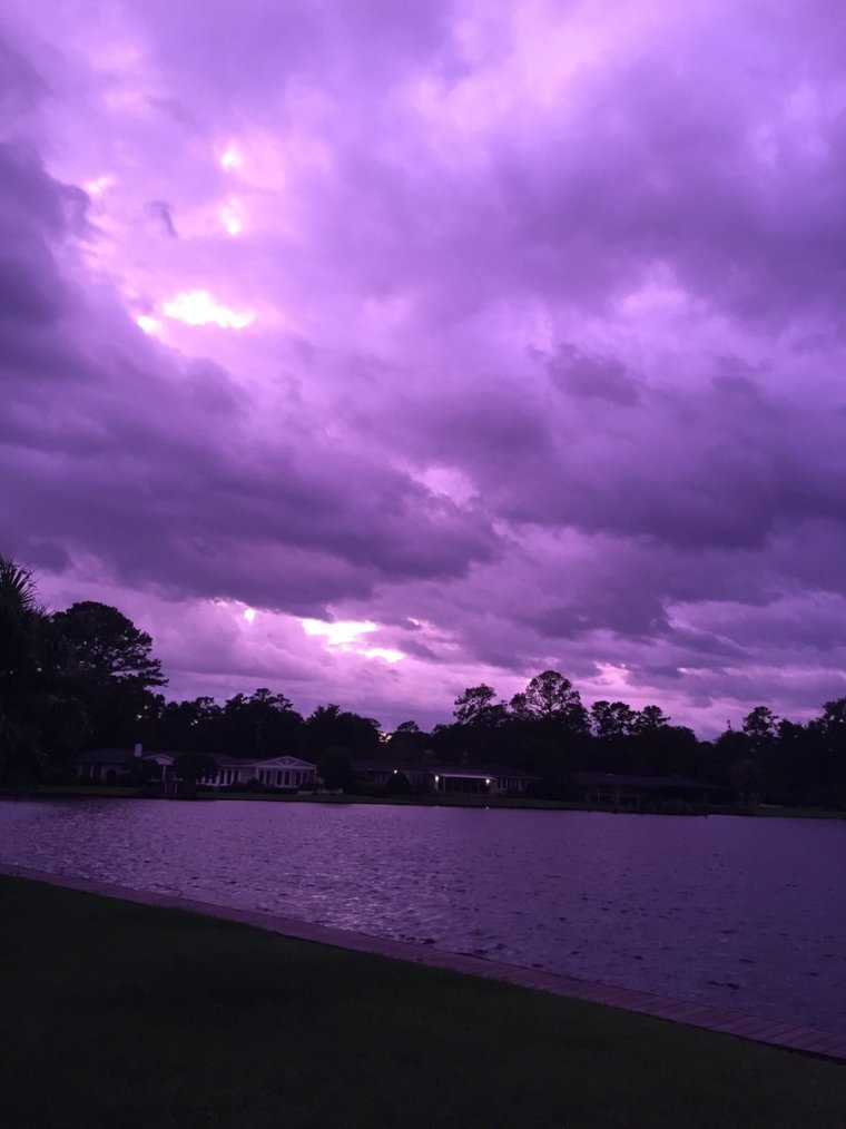 Красивый фиолетовый