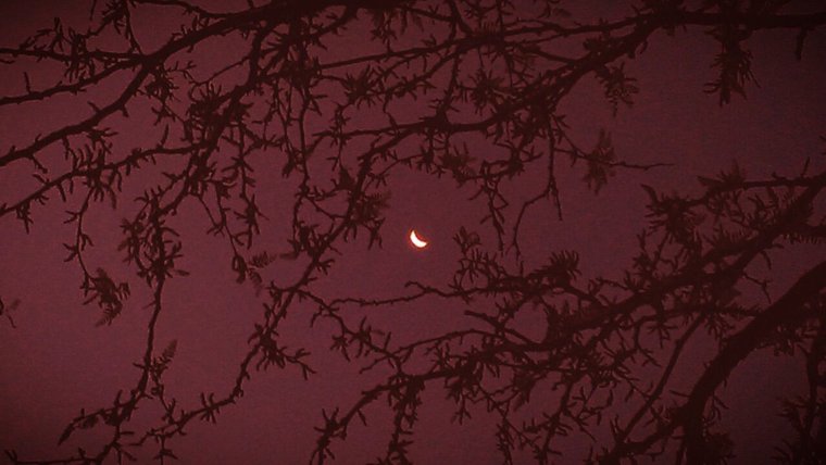 Эстетика бордового