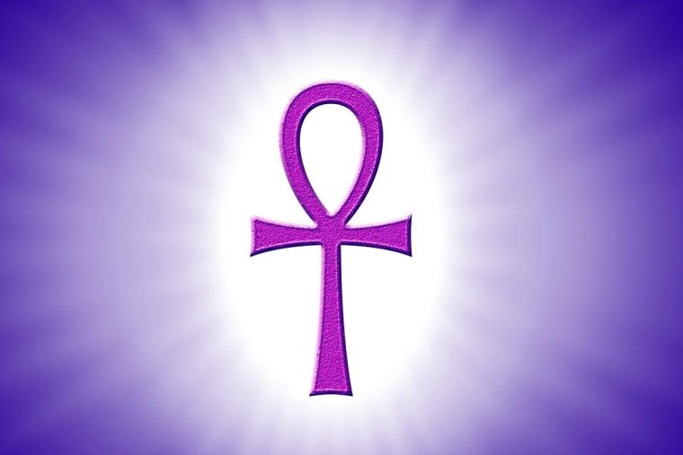 Жёлтая Египетская кошка Анкха 18