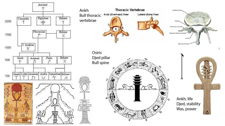 Анкха из игры