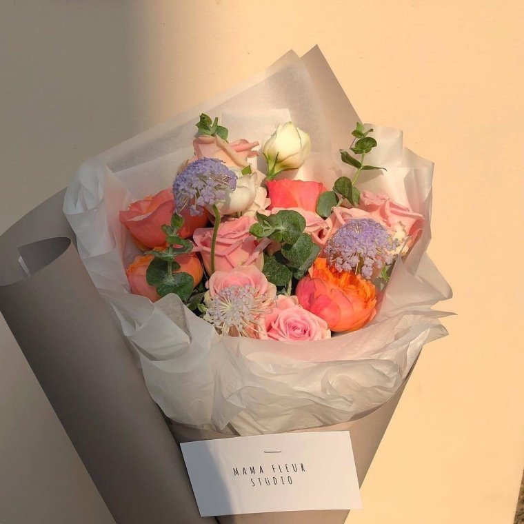 Композиции с протеей