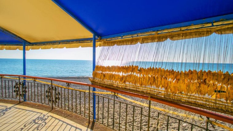 Приморская набережная Сочи