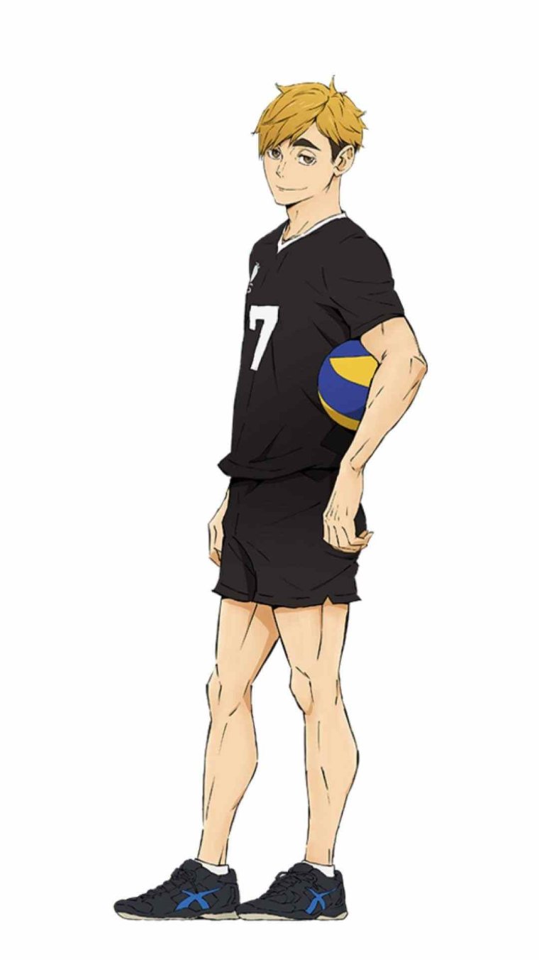 Аниме волейбол команда Шираторидзава
