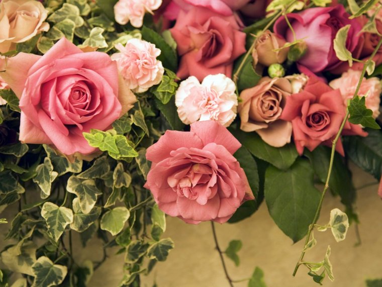 Обложка с цветами для группы