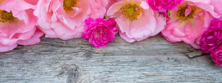 Красивые цветы