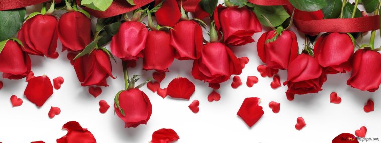 Красивые цветочные баннеры