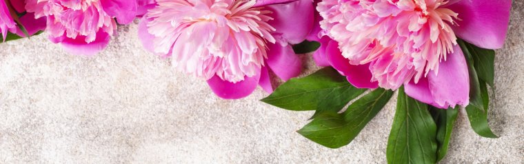 Баннер с цветами