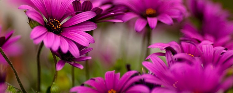 Обложка профиля для одноклассников красивые