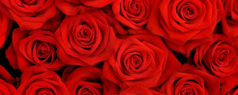 Нежный цветок