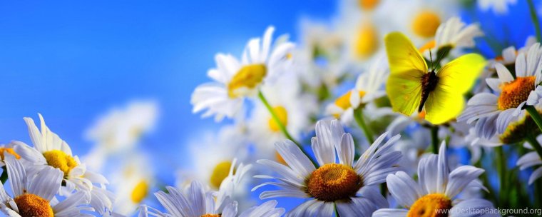 Обложка для сообщества